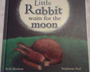 little rabbit waits for the moon